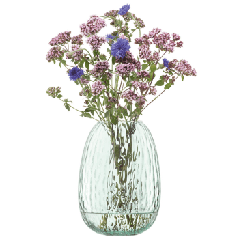 Image showing the Canopy Seed Vase, H19cm, Clear Recycled Glass product.