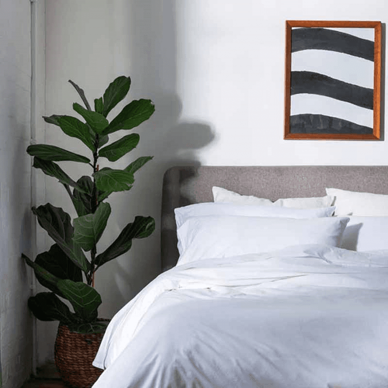 Washed Cotton Percale Duvet Cover, King, White