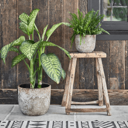 Image showing the Albero Planter, D28cm, Brown product.