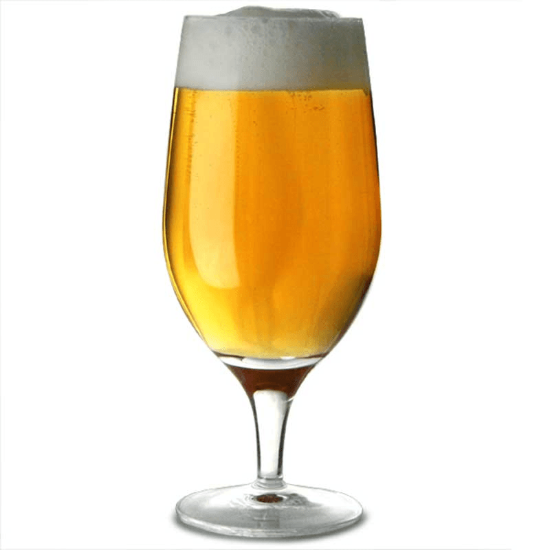 Michelangelo Masterpiece Set of 4 Beer Glasses, 57cl, Clear