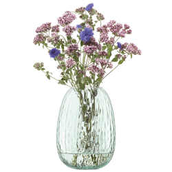 Image showing the Canopy Seed Vase, H19cm, Clear Recycled Glass product.