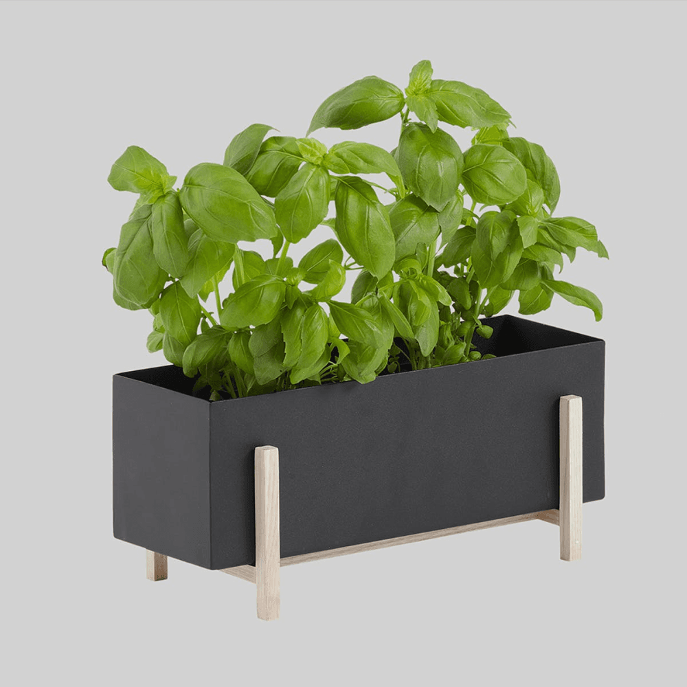 Botanic Box, Black