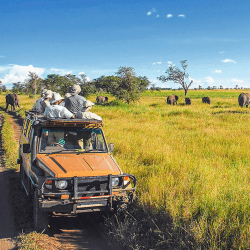 Image showing the Wild Safari £150 product.