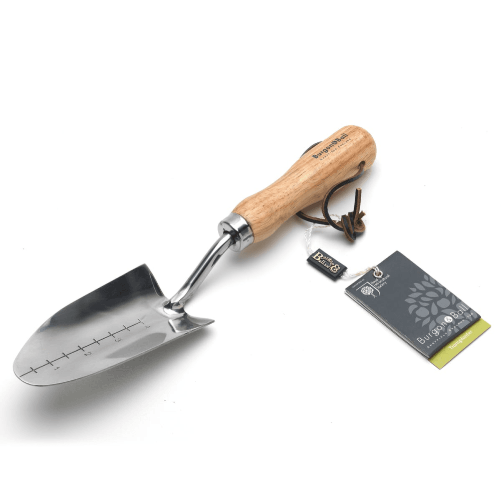 Stainless Steel Transplanter, Silver/Natural