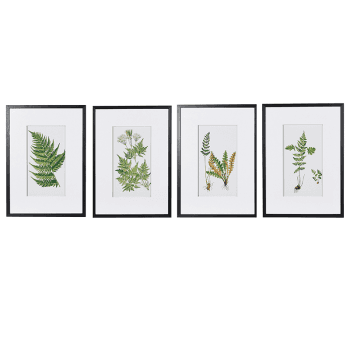 Image showing the Fern Set of 4 Prints, Green product.