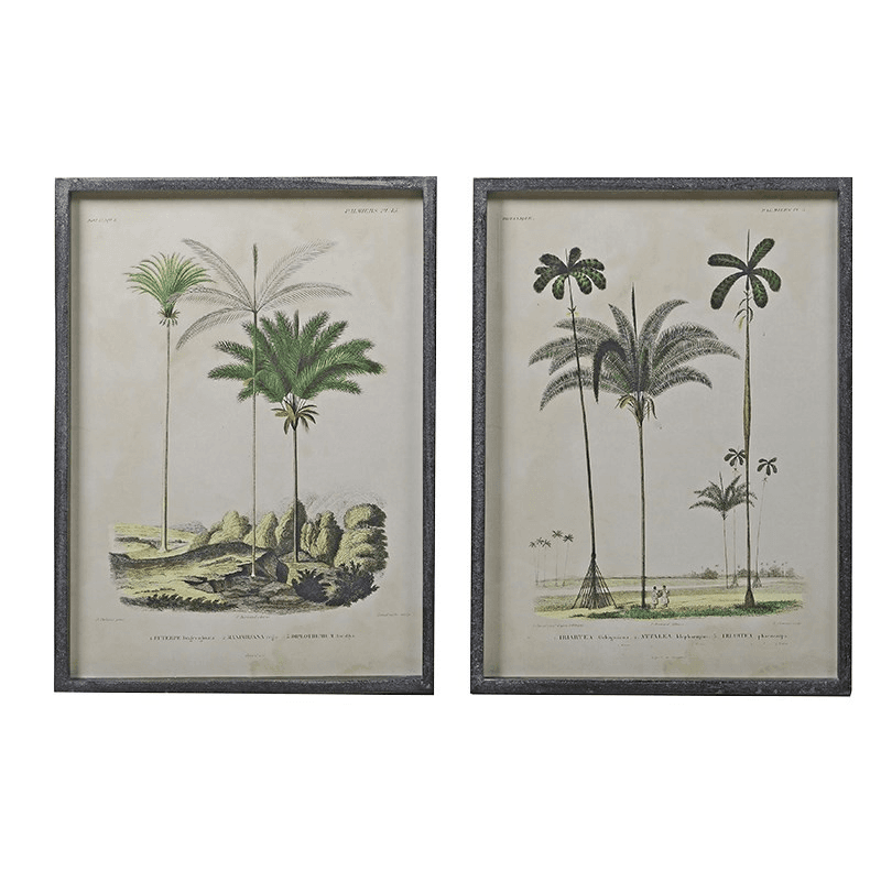 Pair of palm tree pictures, H56 x W41cm