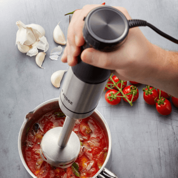 Image showing the Stick Blender, Stainless Steel product.