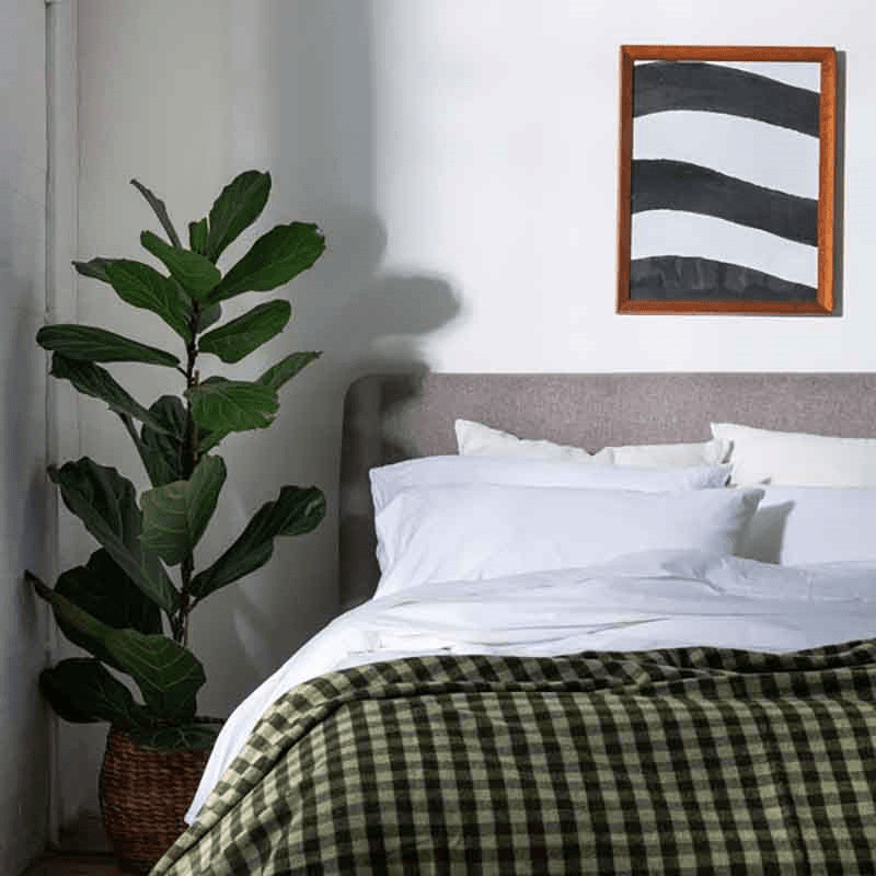 Washed Cotton Percale Pair of Standard Pillowcases, White