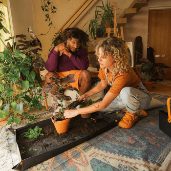 Image showing the Urban Gardening Planting Mat, H28.9 x L3.5 x W29.5cm, Black product.