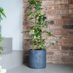 Image showing the Kew Eclectic Orangery Stoneware Meadow Planter, D24cm, Blue product.