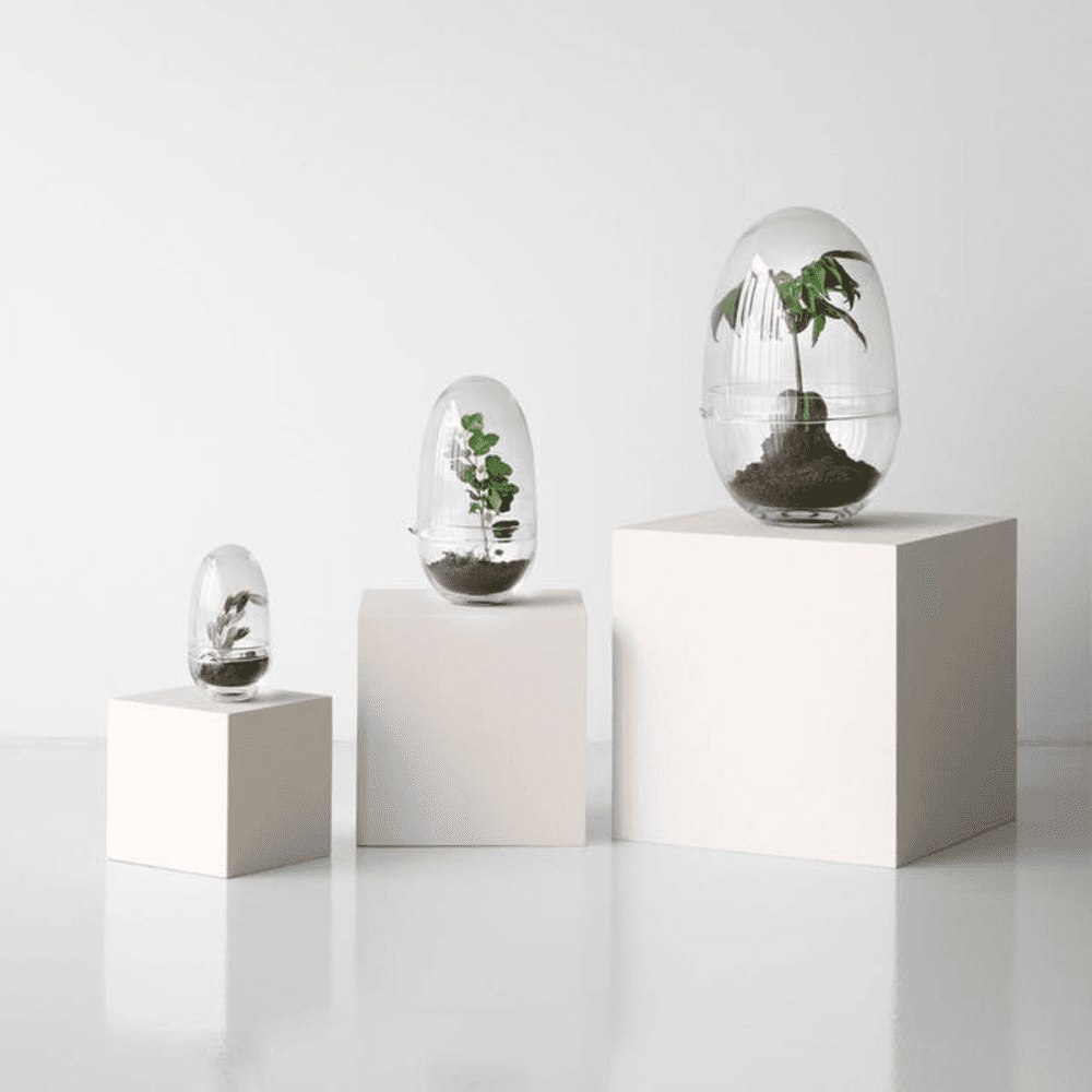 Grow Small greenhouse, D8 x H14cm, Clear
