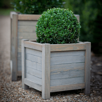 Image showing the Square Planter, 40cm, Spruce product.