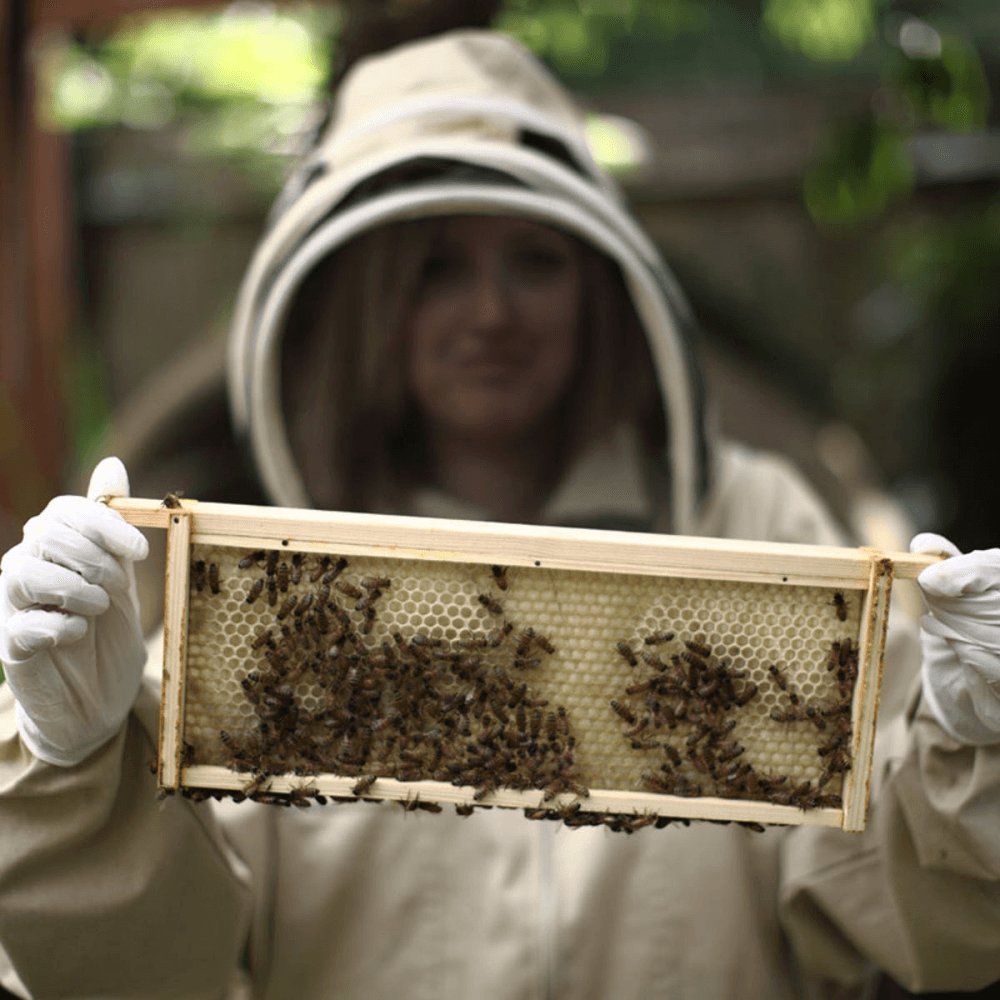 Urban Beekeeping and Honey Craft Beer Tasting for Two