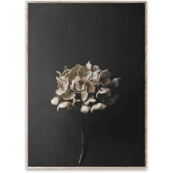 Image showing the Still Life 04 Art Print, 70 x 100cm product.