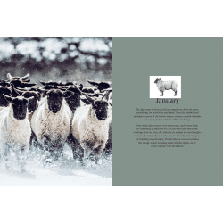 Image showing the Pipers Farm The Sustainable Meat Cookbook: Recipes & Wisdom for Considered Carnivores product.