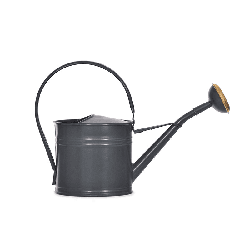 Watering Can, 1.5L, Grey