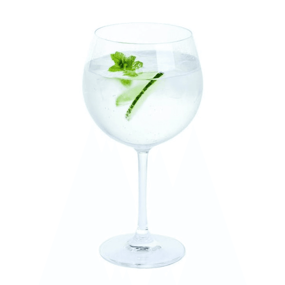 Wine & Bar Pair of Gin and Tonic Copas, 650ml