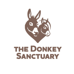 Image showing the A Donation Towards The Donkey Sanctuary product.