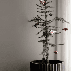 Image showing the Fiber Set of 2 Planters, D37 x H37cm, Charcoal product.