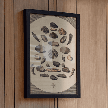 Image showing the Impressions Print Frame, A3, Black product.