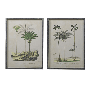 Image showing the Pair of palm tree pictures, H56 x W41cm product.