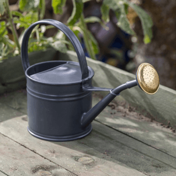 Image showing the Watering Can, 1.5L, Grey product.