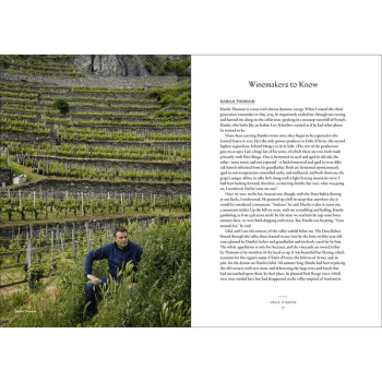 Image showing the Joe Campanale Vino: The Essential Guide To Real Italian Wine product.