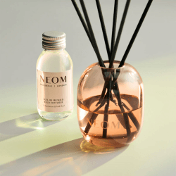Image showing the Feel Refreshed Reed Diffuser, 100ml product.