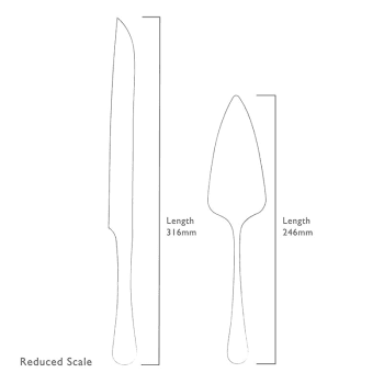 Image showing the Radford 2 Piece Cake Serving Set, Stainless Steel product.