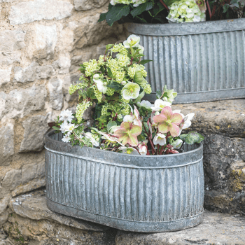 Image showing the Vence Set of 3 Oval Troughs, Steel product.