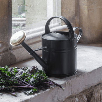 Image showing the Watering Can, 5L, Grey/Brass product.