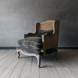 Image showing the Caden Cane Grey Velvet Armchair product.