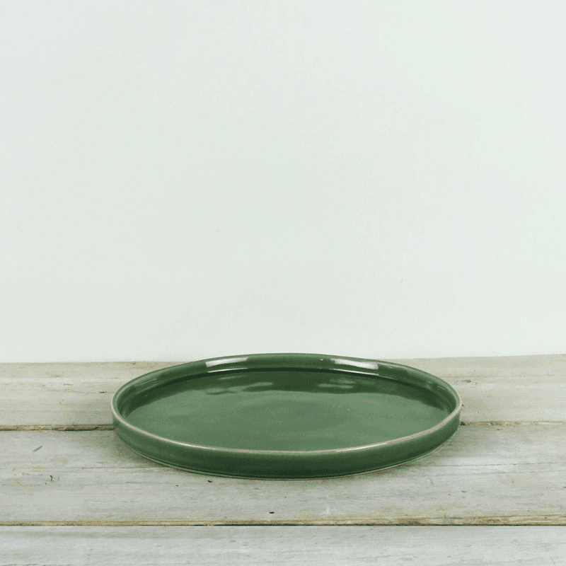 Parrot Dinner Plate, D27cm, Green