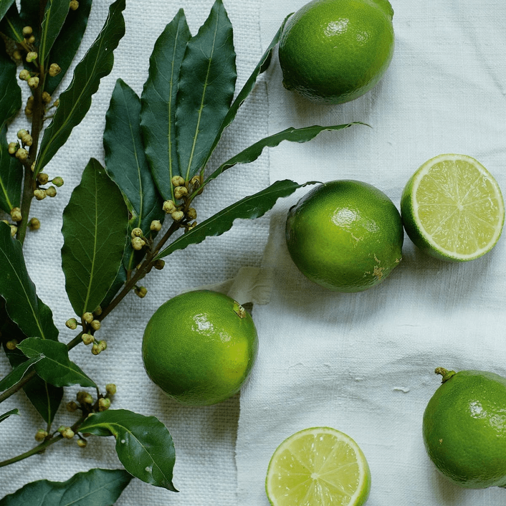 Lime & Bay Home scenting set