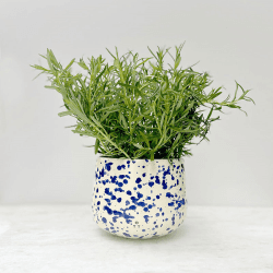 Image showing the Splatter Indoor Planter, D15 x H13cm, Blueberry product.
