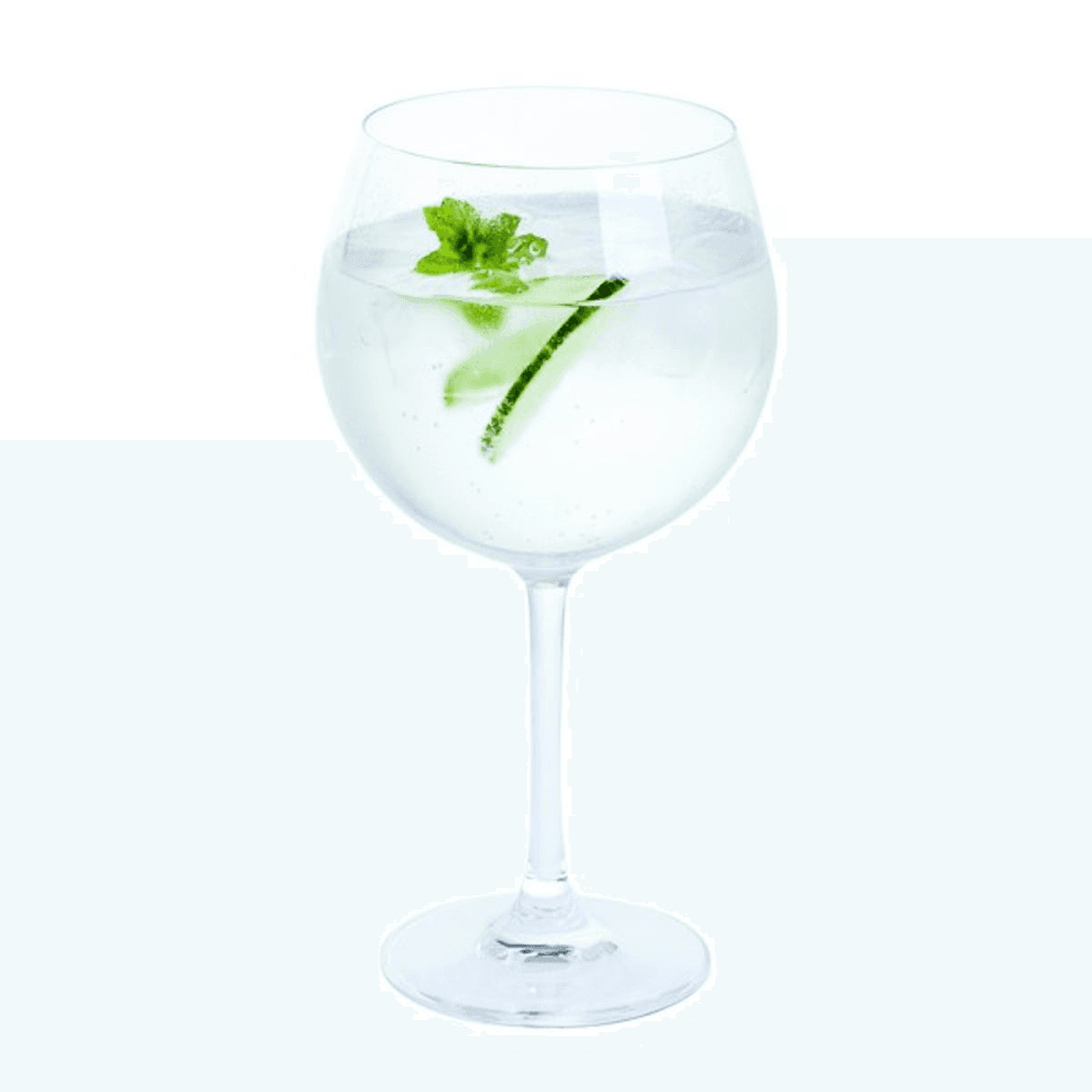 Wine & Bar Pair of Gin and Tonic Copas, 650ml