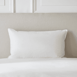 Image showing the Perfect Everyday Duck Feather & Down Collection - Medium/Firm Pillow standard, W50 x L75cm product.