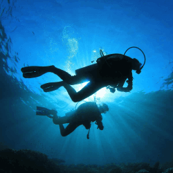 Image showing the Honeymoon Scuba Diving Trip Contribution £50 product.