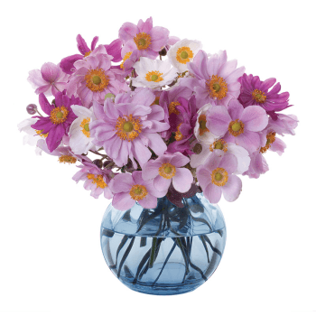 Image showing the Florabundance Anemone Vase, H12.5cm, Ink product.