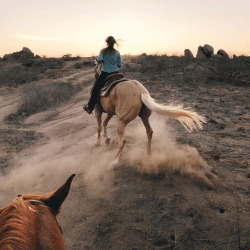 Image showing the Honeymoon Horse Riding for Two product.