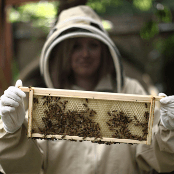 Image showing the Urban Beekeeping and Honey Craft Beer Tasting for Two product.