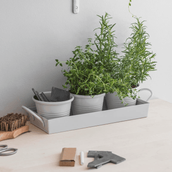 Image showing the Classic Set of 3 Plant Pots with Tray, Chalk product.