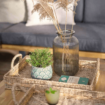Image showing the Bayford Set of 2 Woven Trays, Natural product.