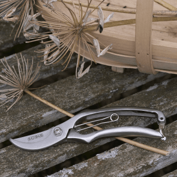 Image showing the Secateurs, Silver product.