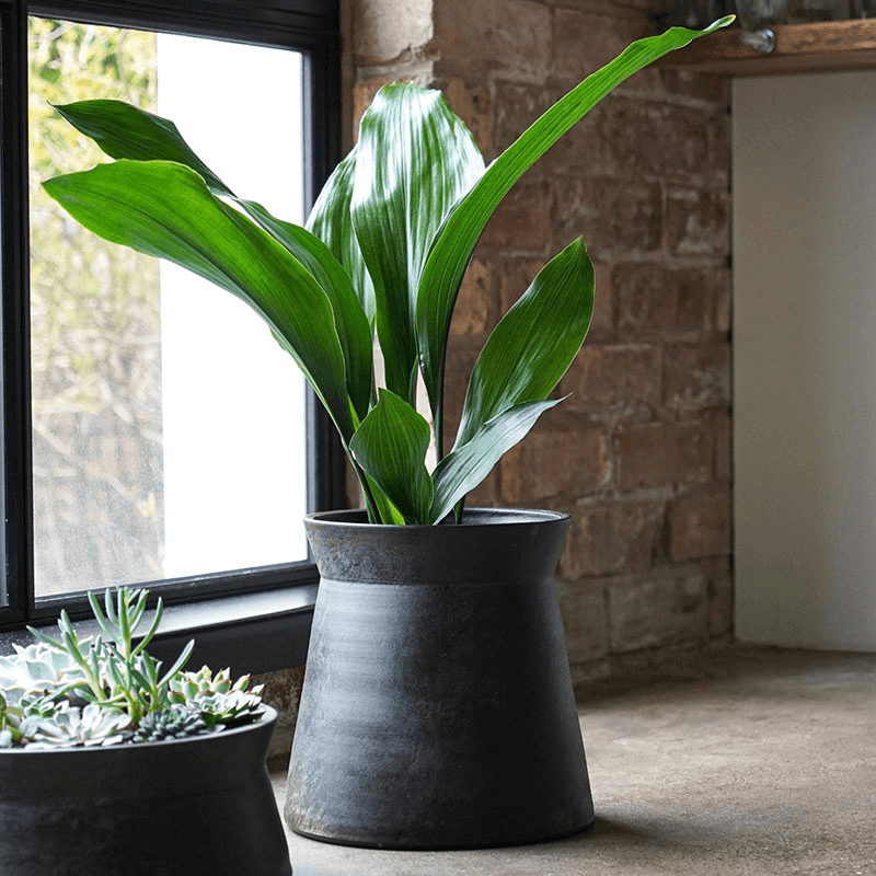 Kew Eclectic Orangery Handthrown Planter, D23cm, Bronze