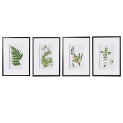 Image showing the Fern Set of 4 Prints, Green product.