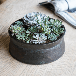 Image showing the Kew Eclectic Orangery Handthrown Statement Bowl, D30cm, Bronze product.