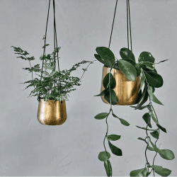Image showing the Atsu Brass Hanging Planter Small, Brass product.