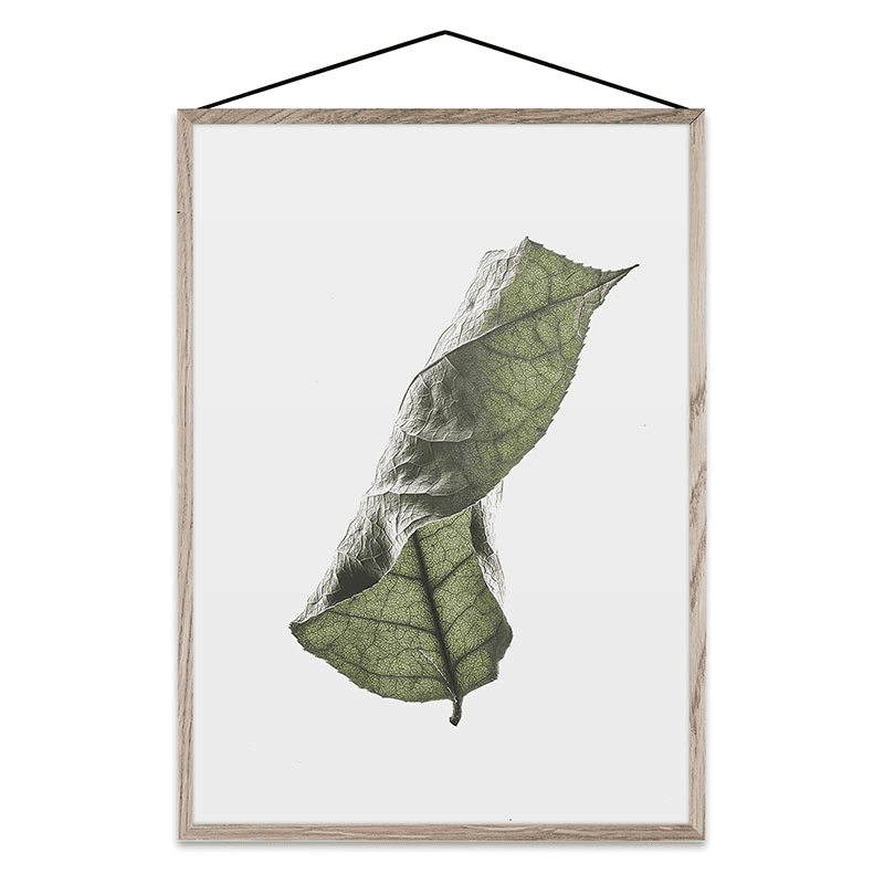 Floating Leaves 04 - A5 Fsc Print, A5, 21 x 15cm