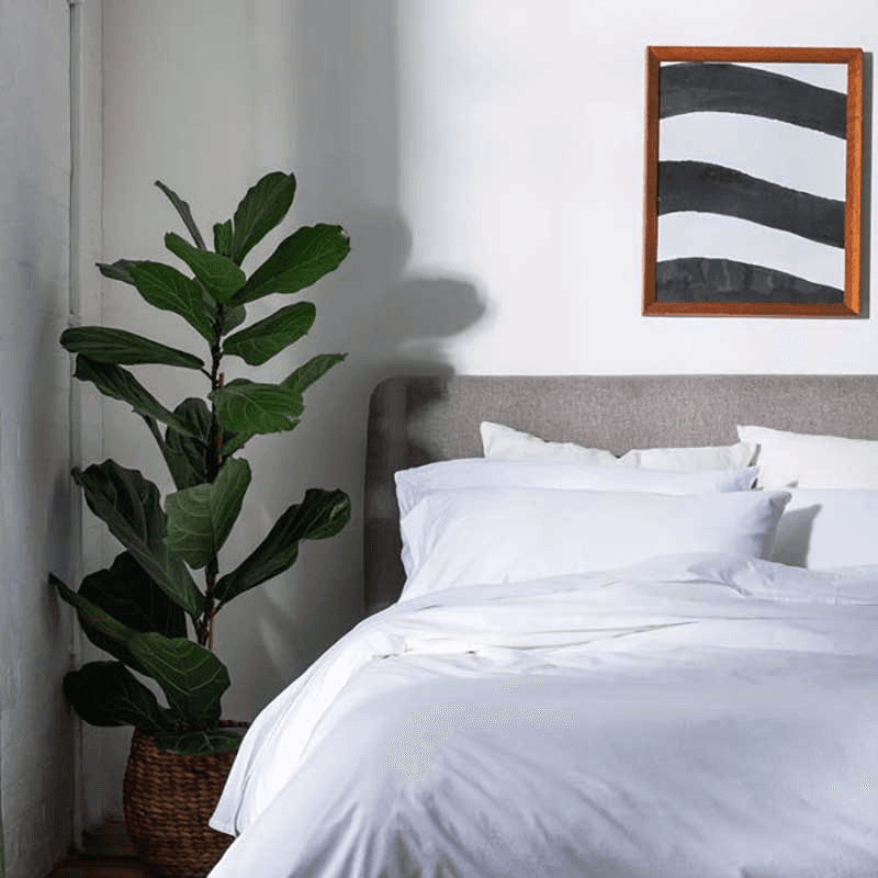 Washed Cotton Percale Fitted Sheet, Super King, White